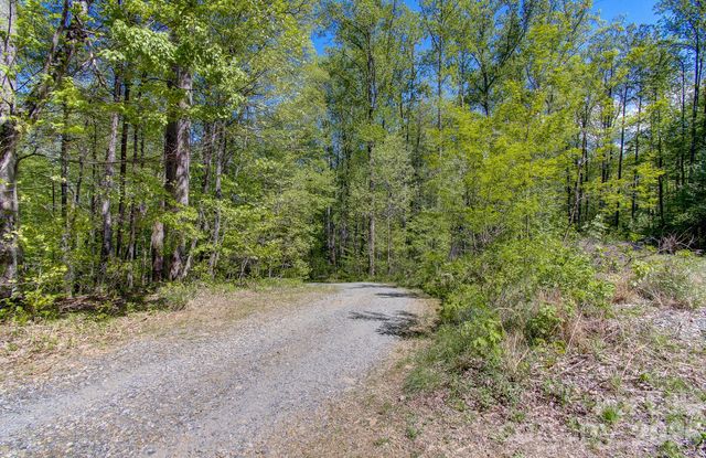 109 & 99999 Apgar Road, Candler, NC 28715