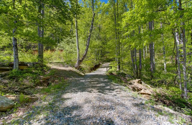 109 & 99999 Apgar Road, Candler, NC 28715