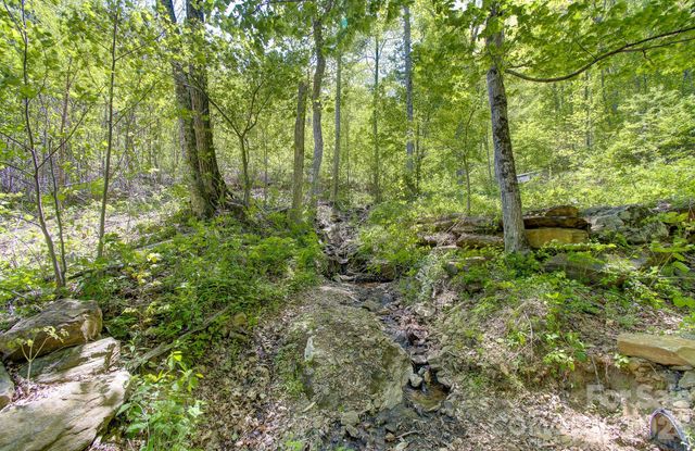 109 & 99999 Apgar Road, Candler, NC 28715