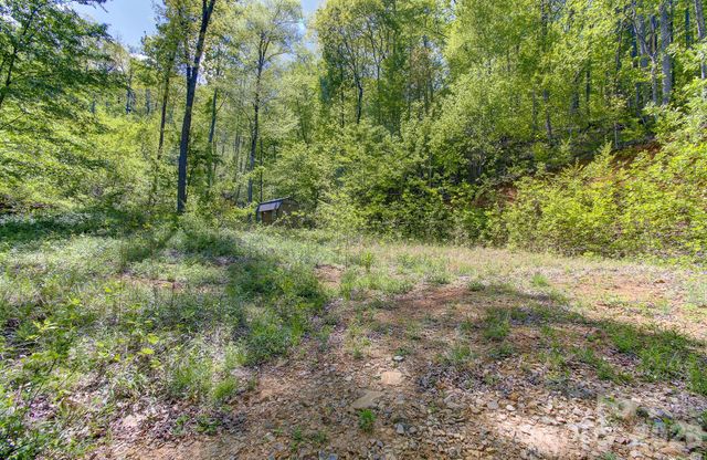 109 & 99999 Apgar Road, Candler, NC 28715