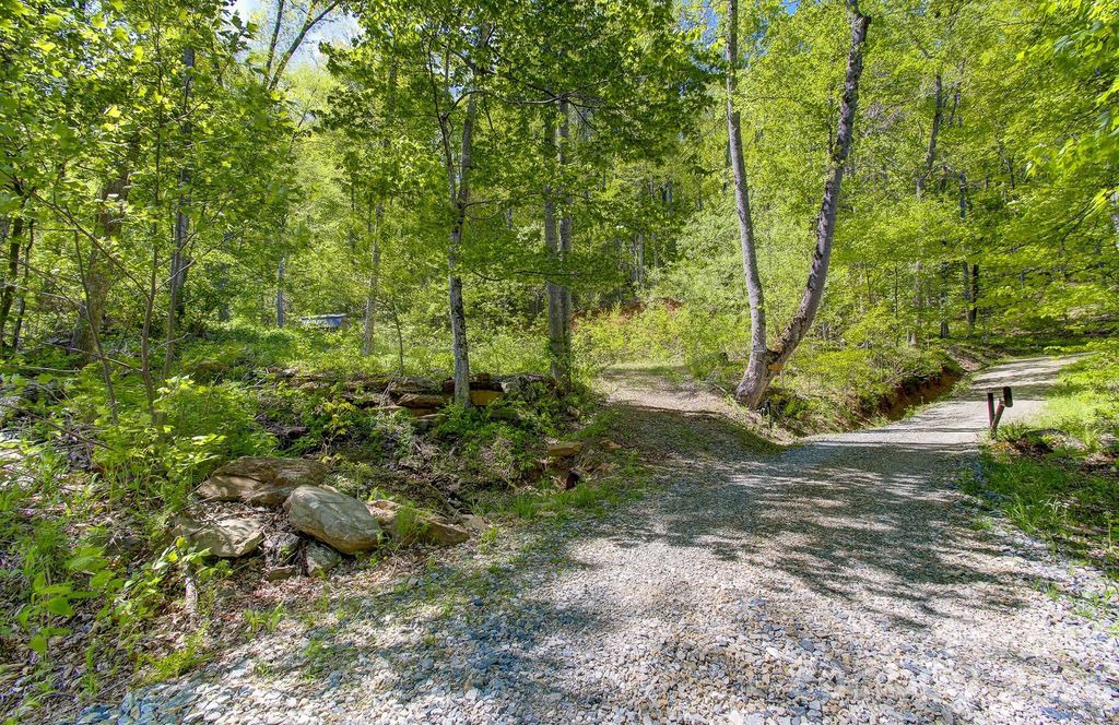 109 & 99999 Apgar Road, Candler, NC 28715