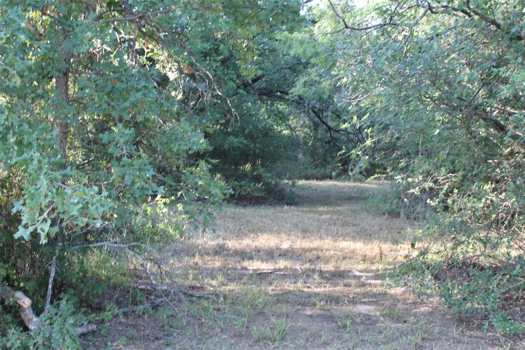 Lot 4 Port O Call Drive, Runaway Bay, TX 76426