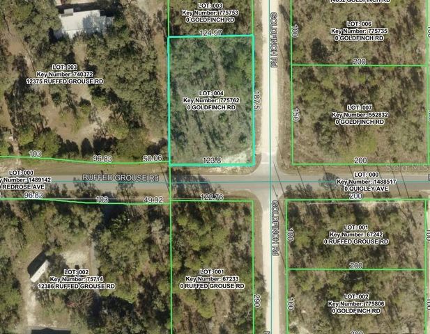 GOLDFINCH ROAD, Weeki Wachee, FL 34614