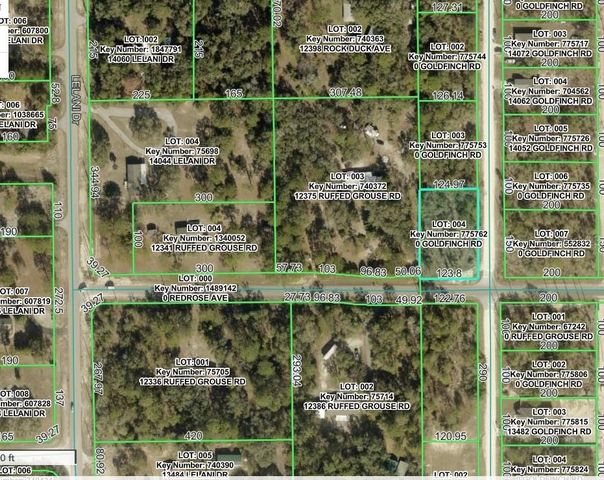GOLDFINCH ROAD, Weeki Wachee, FL 34614