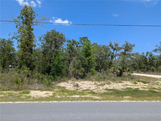 GOLDFINCH ROAD, Weeki Wachee, FL 34614