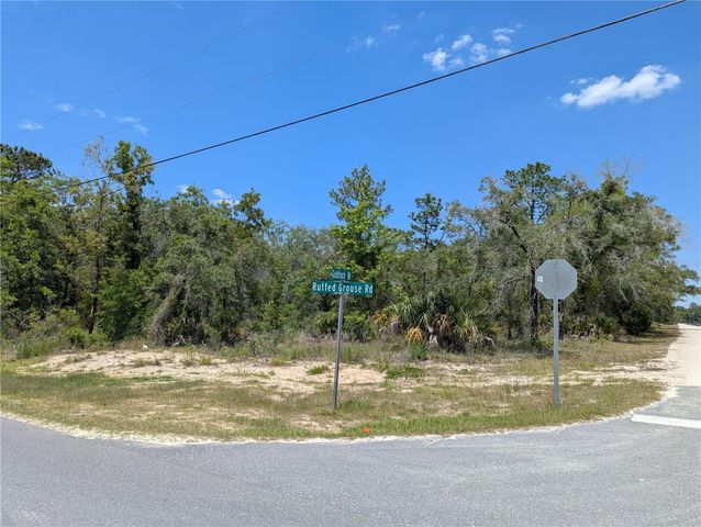 GOLDFINCH ROAD, Weeki Wachee, FL 34614