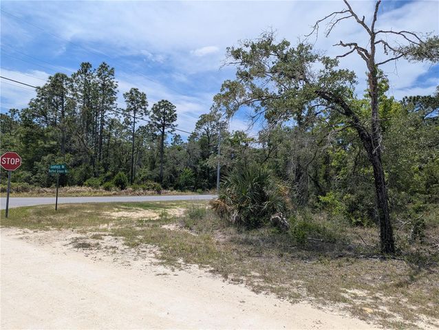 GOLDFINCH ROAD, Weeki Wachee, FL 34614