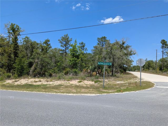 GOLDFINCH ROAD, Weeki Wachee, FL 34614