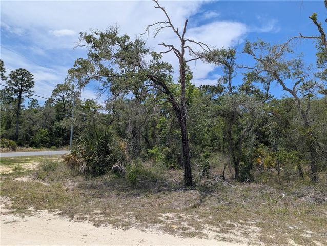 GOLDFINCH ROAD, Weeki Wachee, FL 34614