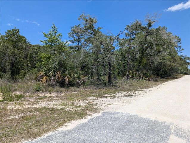 GOLDFINCH ROAD, Weeki Wachee, FL 34614