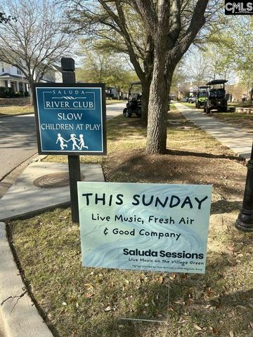 202 Waterstone Drive, Lexington, SC 29072
