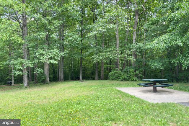 9202 DOROTHY LN, Springfield, VA 22153