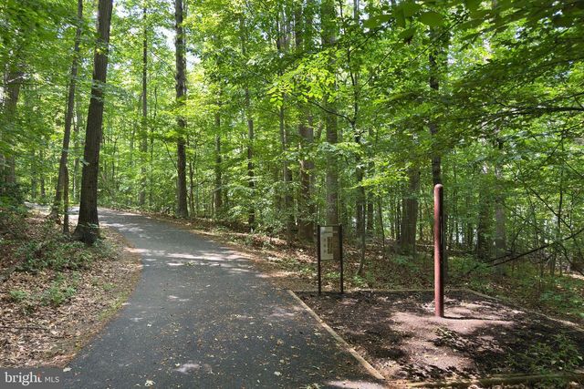 9202 DOROTHY LN, Springfield, VA 22153