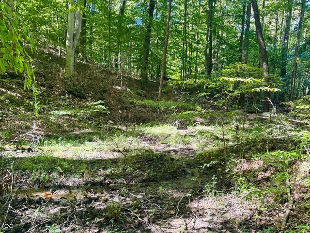 2495 Lenvoil Road, Martinsville, IN 46151