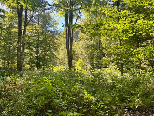 2495 Lenvoil Road, Martinsville, IN 46151