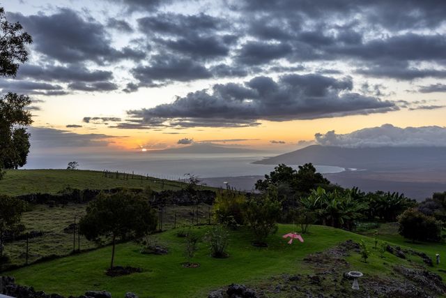 980 Polipoli Rd, Kula, HI 96790