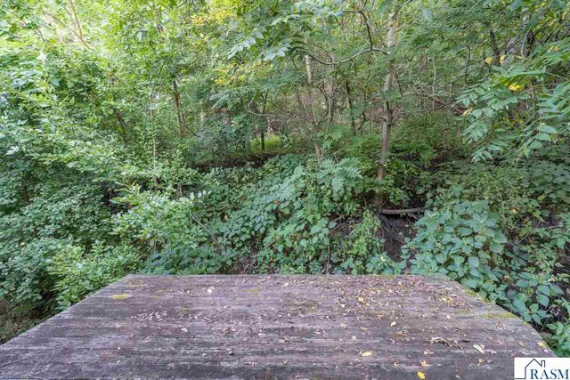 1139 Birch Avenue, Mankato, MN 56001