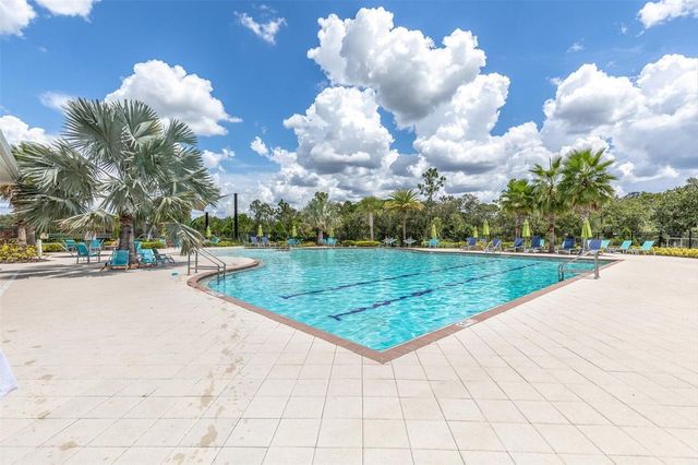 17070 OVAL RUM DRIVE, Wimauma, FL 33598