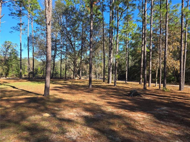 7970 NE 110 AVENUE, Bronson, FL 32621