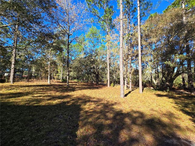 7970 NE 110 AVENUE, Bronson, FL 32621