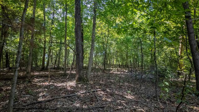 Lot 11 Riverbend Road, Mammoth Spring, AR 72554
