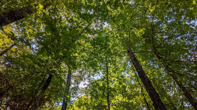 Lot 11 Riverbend Road, Mammoth Spring, AR 72554