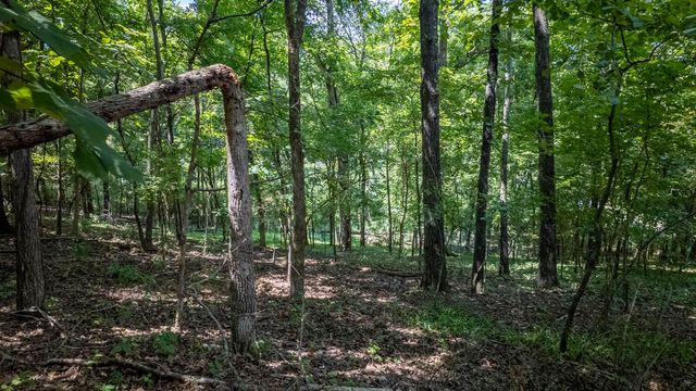 Lot 11 Riverbend Road, Mammoth Spring, AR 72554