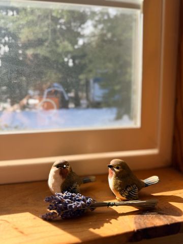 5580 Pony Express Trl, Camino, CA 95709