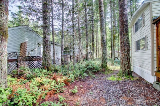 25 Drial Loop, Deming, WA 98244