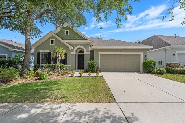 15814 STARLING WATER DRIVE, Lithia, FL 33547