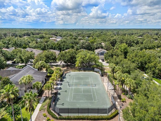15814 STARLING WATER DRIVE, Lithia, FL 33547