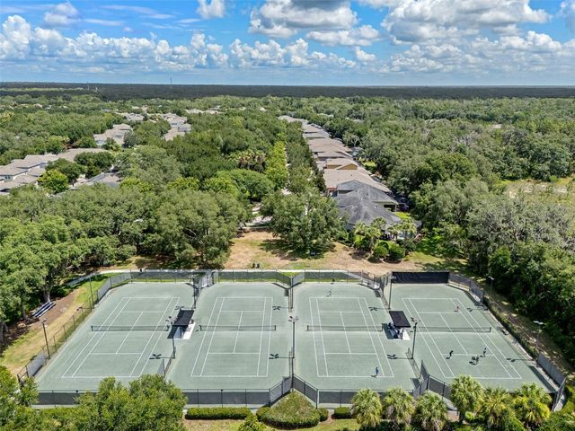 15814 STARLING WATER DRIVE, Lithia, FL 33547