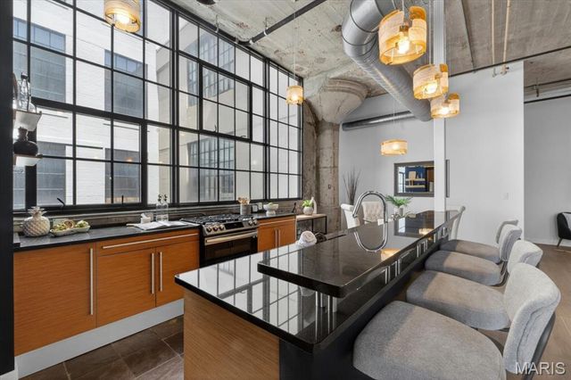 4100 Forest Park Avenue 424, St Louis, MO 63108