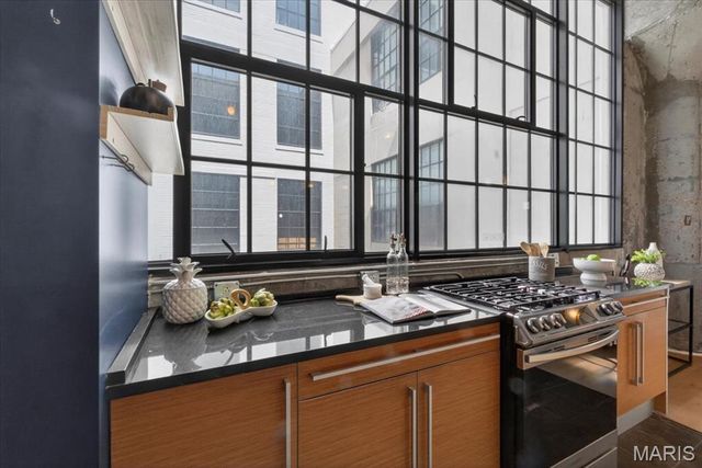 4100 Forest Park Avenue 424, St Louis, MO 63108