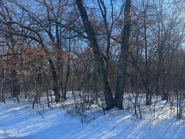 11xxx 313th Avenue, Princeton, MN 55371