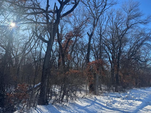 11xxx 313th Avenue, Princeton, MN 55371