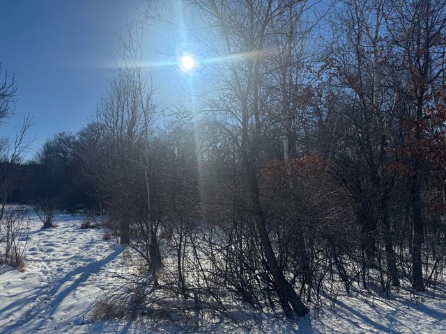 11xxx 313th Avenue, Princeton, MN 55371