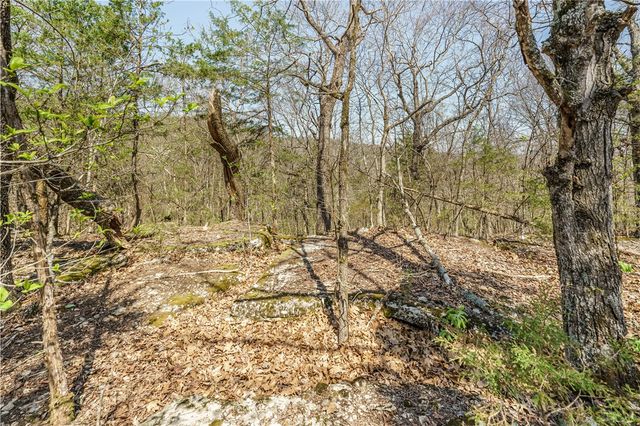 6390 County Road 302, Eureka Springs, AR 72632