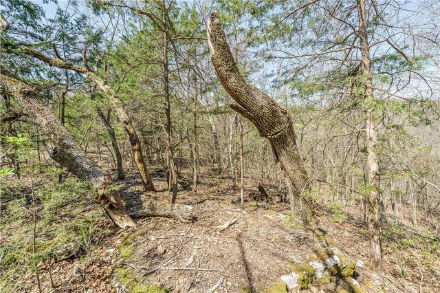 6390 County Road 302, Eureka Springs, AR 72632