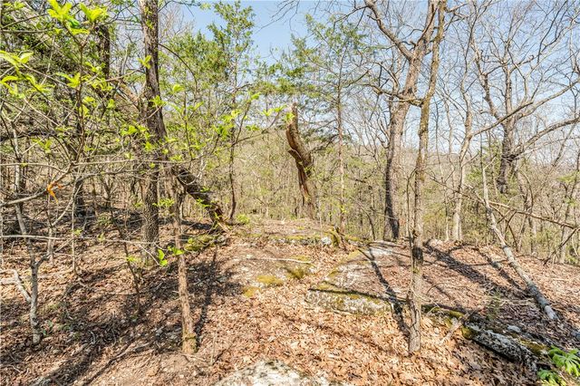 6390 County Road 302, Eureka Springs, AR 72632