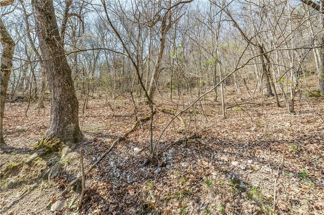 6390 County Road 302, Eureka Springs, AR 72632