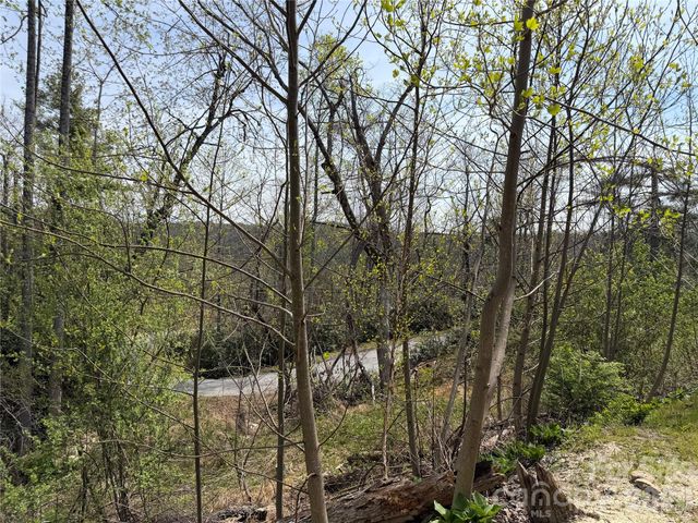 273 McMillan Drive, Hendersonville, NC 28792