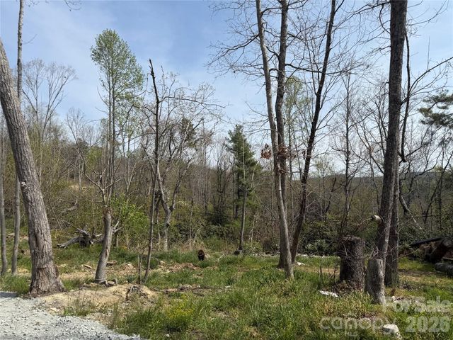 273 McMillan Drive, Hendersonville, NC 28792