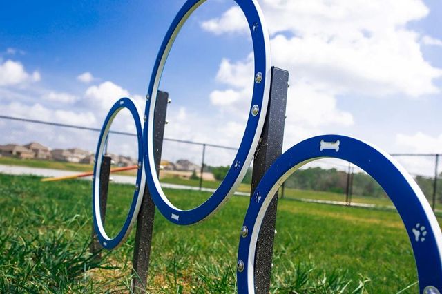 6308 Raleigh, College Station, TX 77845