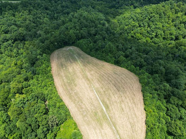 3225 S Grundy Quarles Hwy, Gainesboro, TN 38562