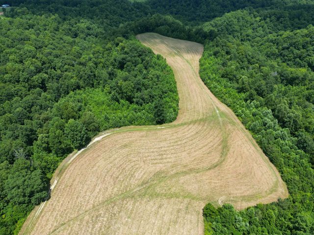 3225 S Grundy Quarles Hwy, Gainesboro, TN 38562