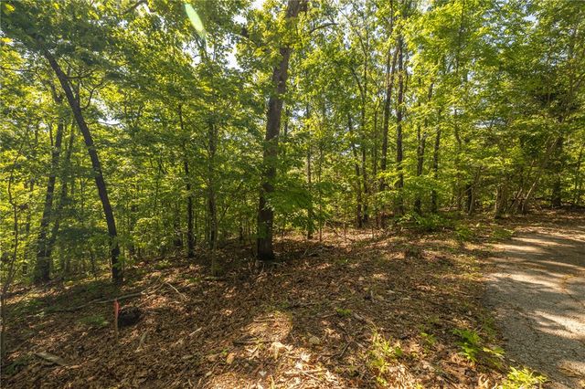 TBD Leith Lane, Bella Vista, AR 72715