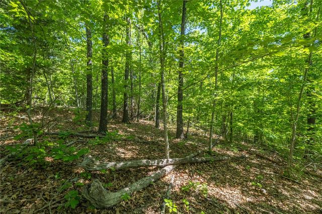 TBD Leith Lane, Bella Vista, AR 72715