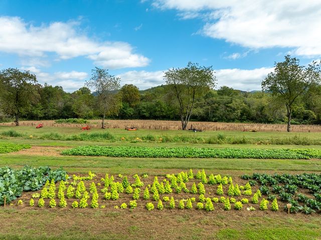 25 Morning Glory Lane, Blairsville, GA 30512