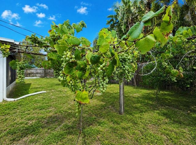 164 PINEWOOD AVENUE, Clearwater, FL 33765